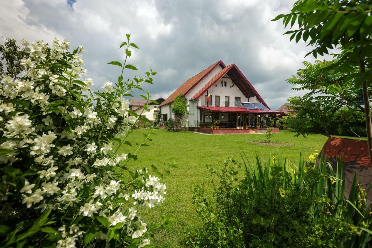 Casa Florilor Curtea De Arges Exterior photo