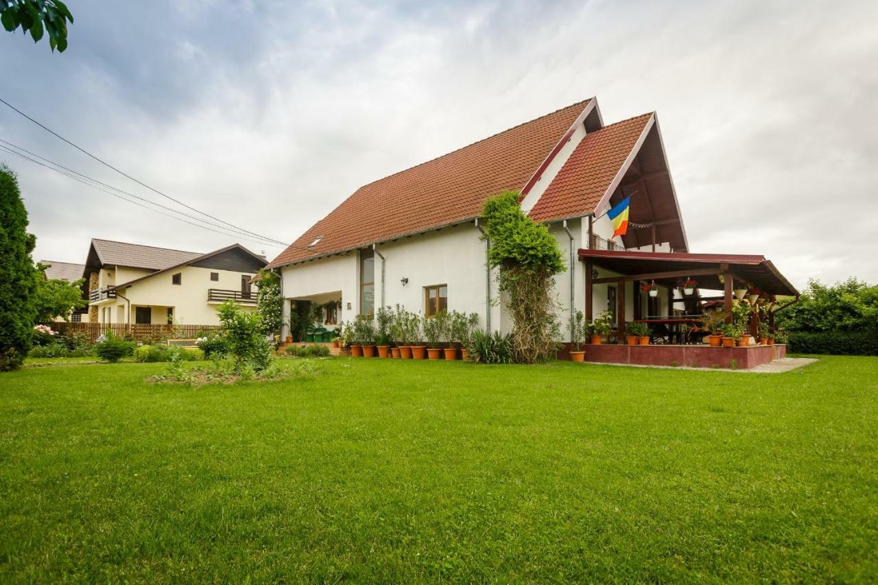 Casa Florilor Curtea De Arges Exterior photo