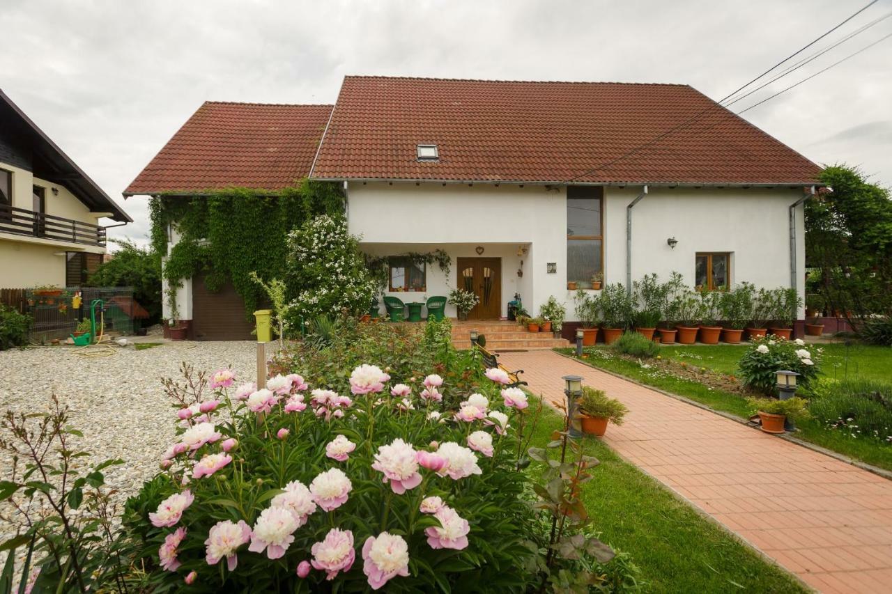 Casa Florilor Curtea De Arges Exterior photo