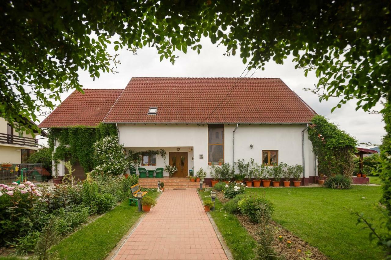 Casa Florilor Curtea De Arges Exterior photo
